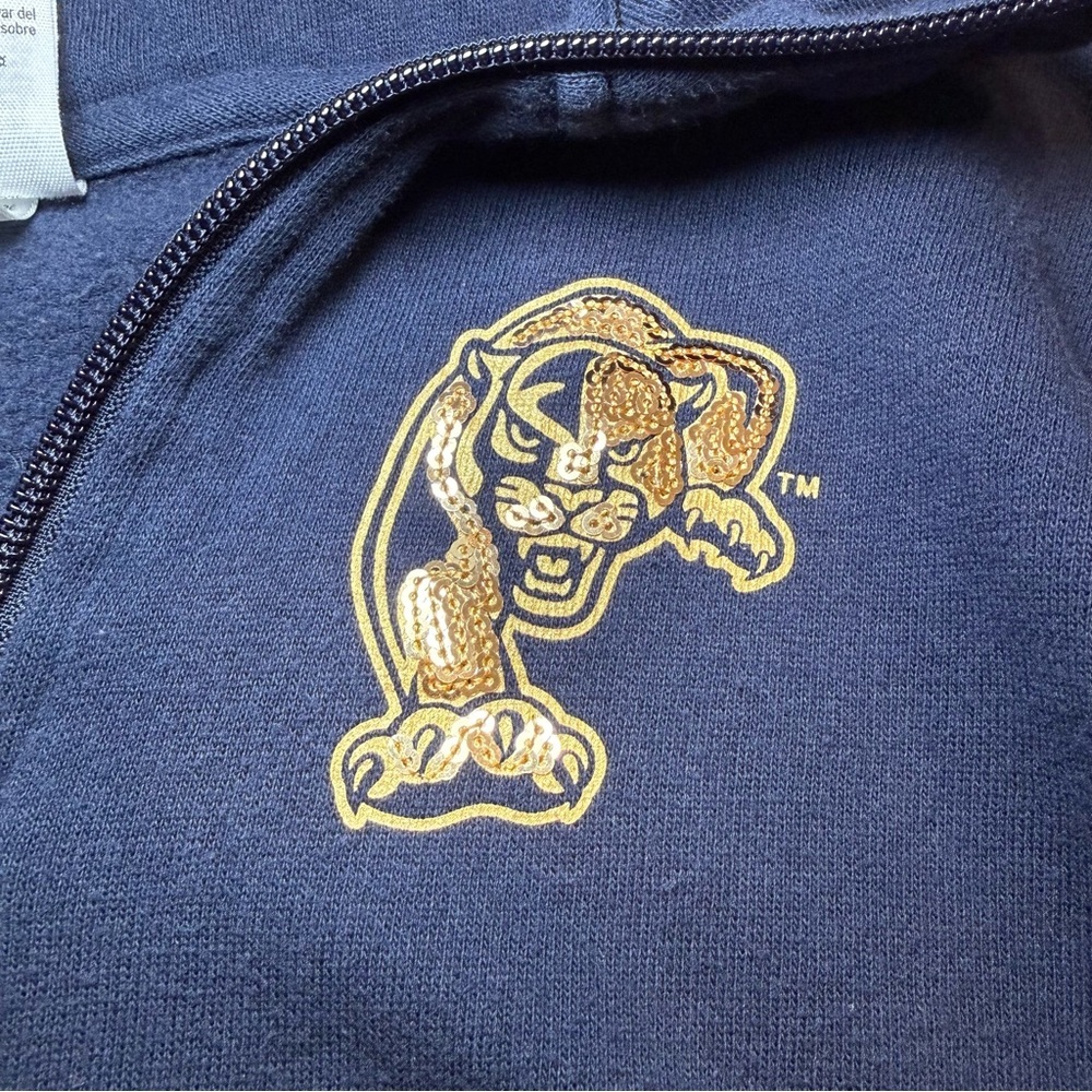 Victoria's Secret PINK collegiate half-zip sweatshirt FIU - Picture 3 of 4